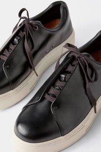 Doja Shiny Lace-Up Sneakers