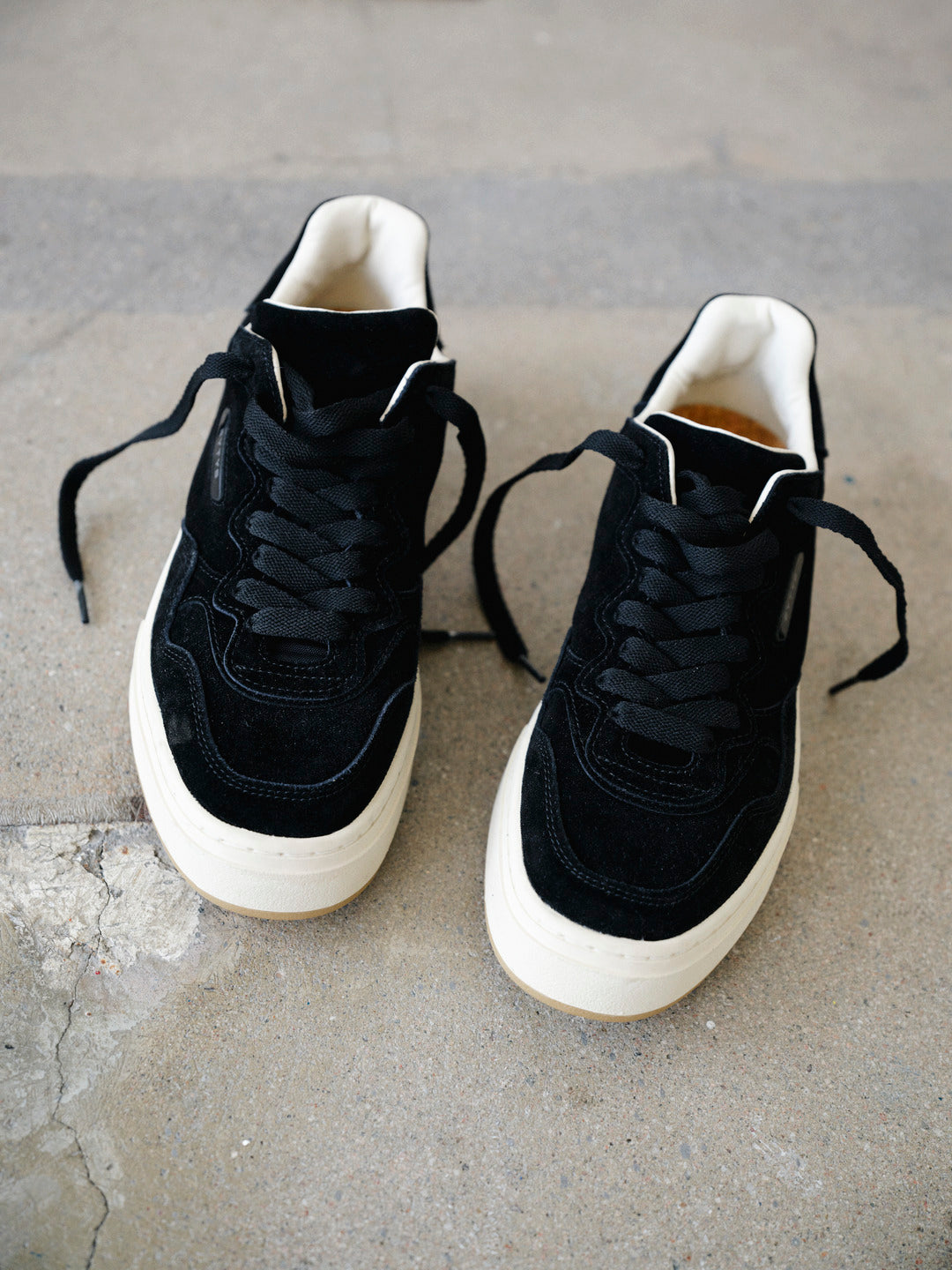 Trophy Black Suede