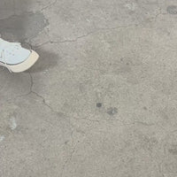 Anthem Off-White Canvas