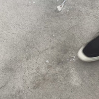 Trophy Black Suede